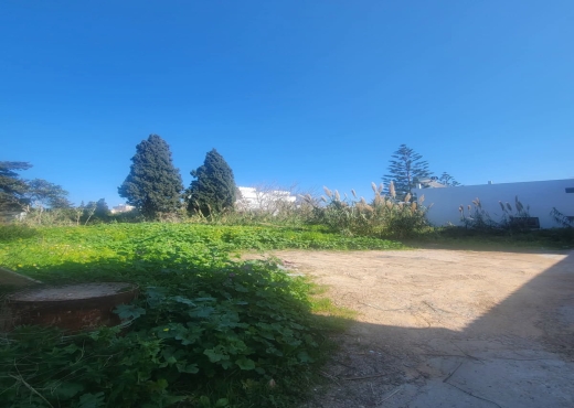 A Vendre terrain a Corniche Bizerte - Bien immobilier à {"id":4,"country_id":219,"name":"BIZERTE","slug":"bizerte"} - Agence Immobilière immo\'in